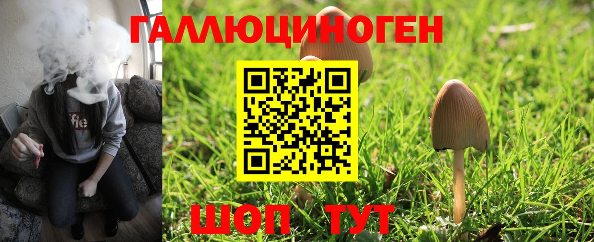 Галлюциногенные грибы мухоморы  как найти наркотики  Истра  Вход с VPN 