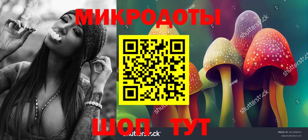 Псилоцибиновые грибы Psilocybe Истра
